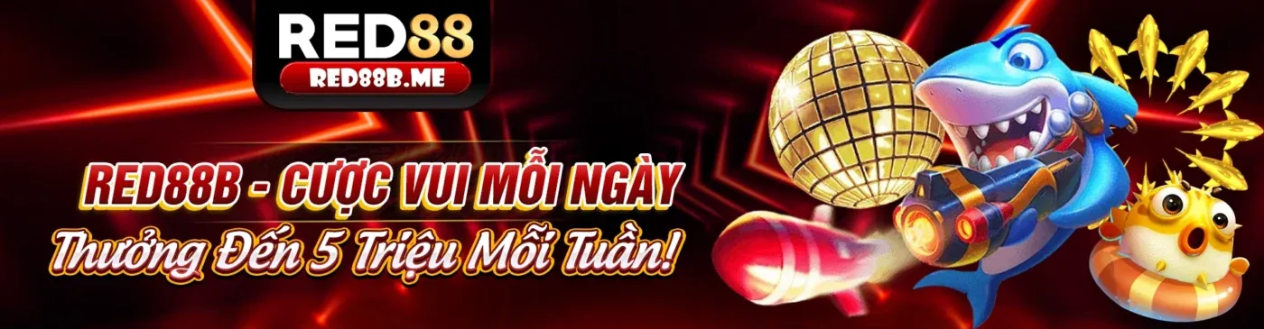 Hình ảnh Điều khoản và Điều kiện của S8BET